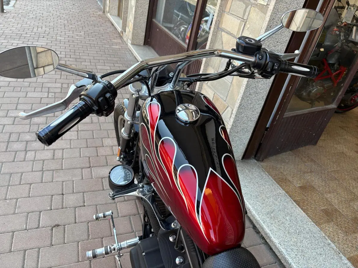 Harley-Davidson 883 R (2008 - 16) - XL 883R (14)