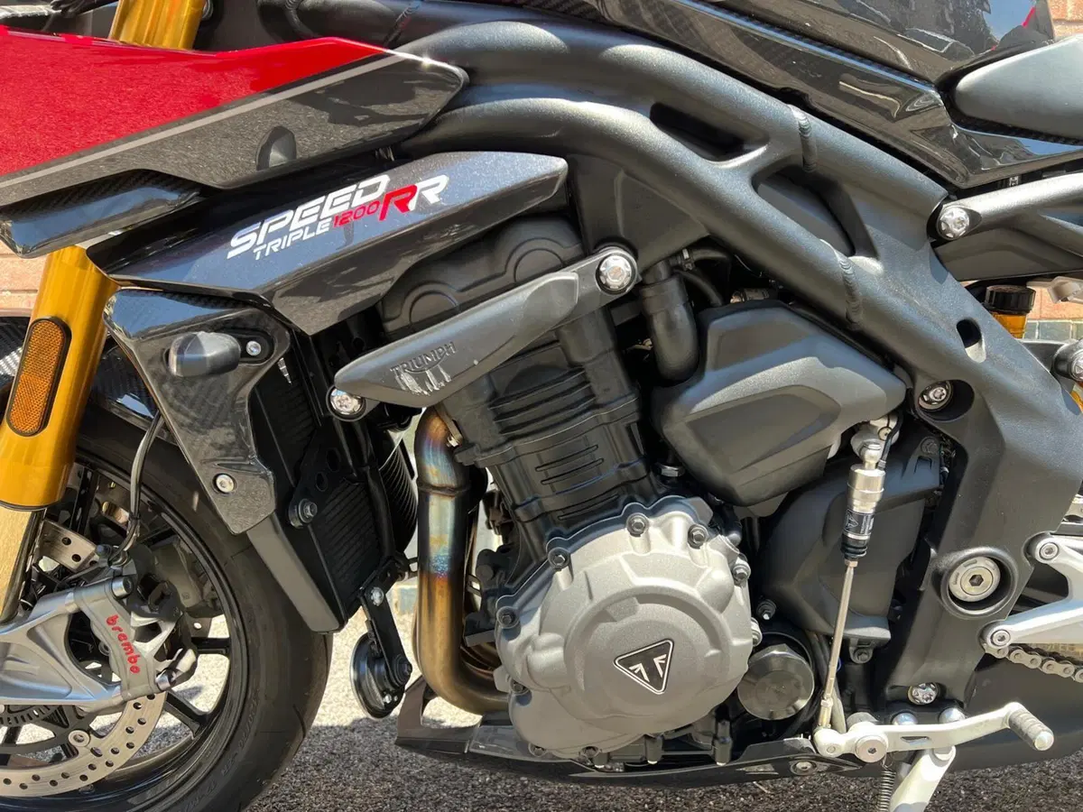 Triumph Speed Triple 1200 RR (2022 - 26) (5)