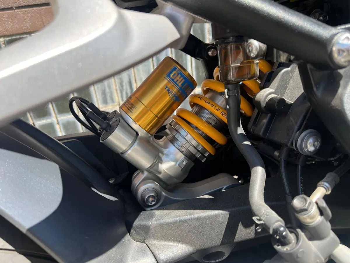 Triumph Speed Triple 1200 RR (2022 - 26) (14)
