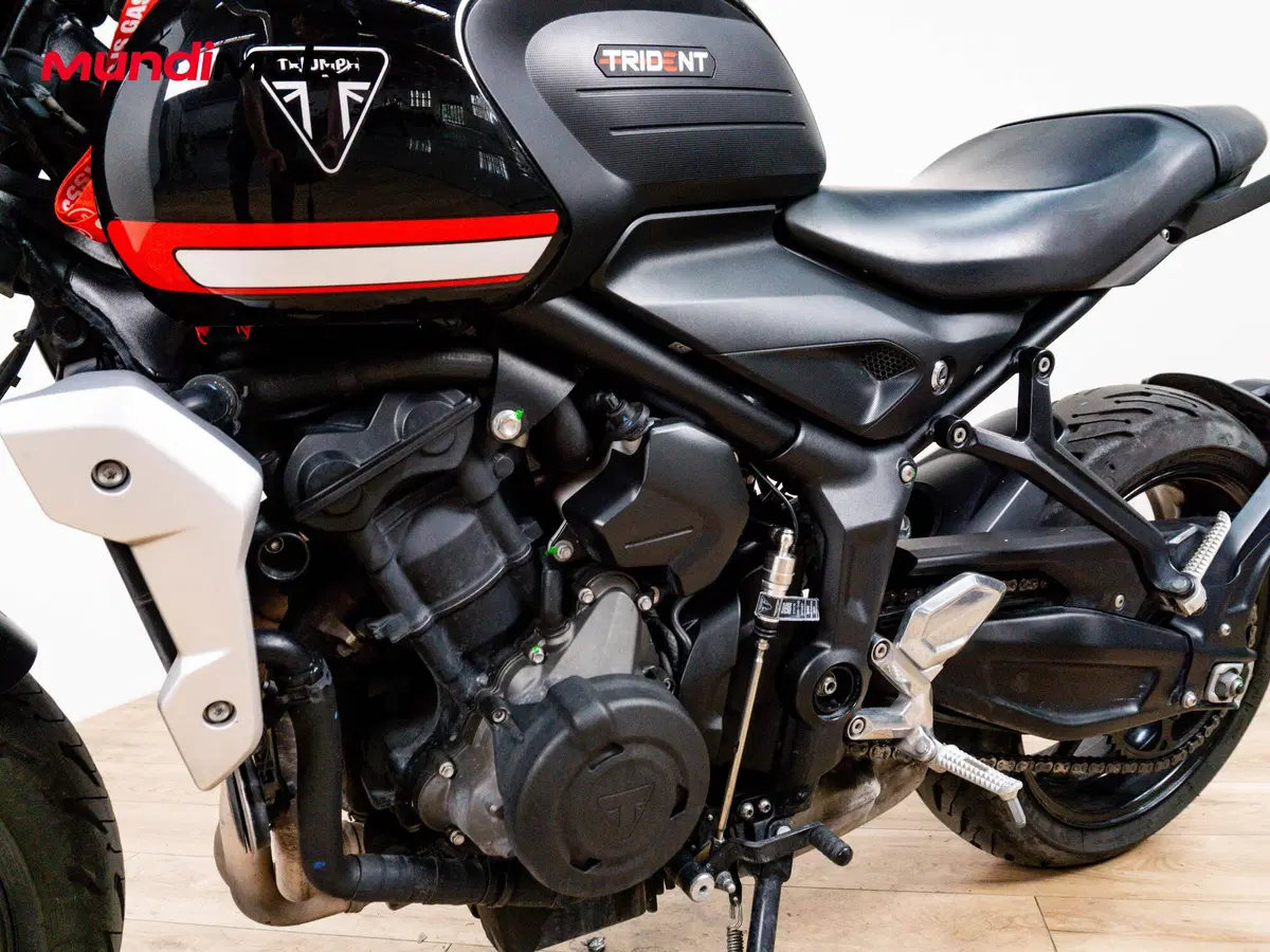 Triumph Trident 660 (2025) (9)