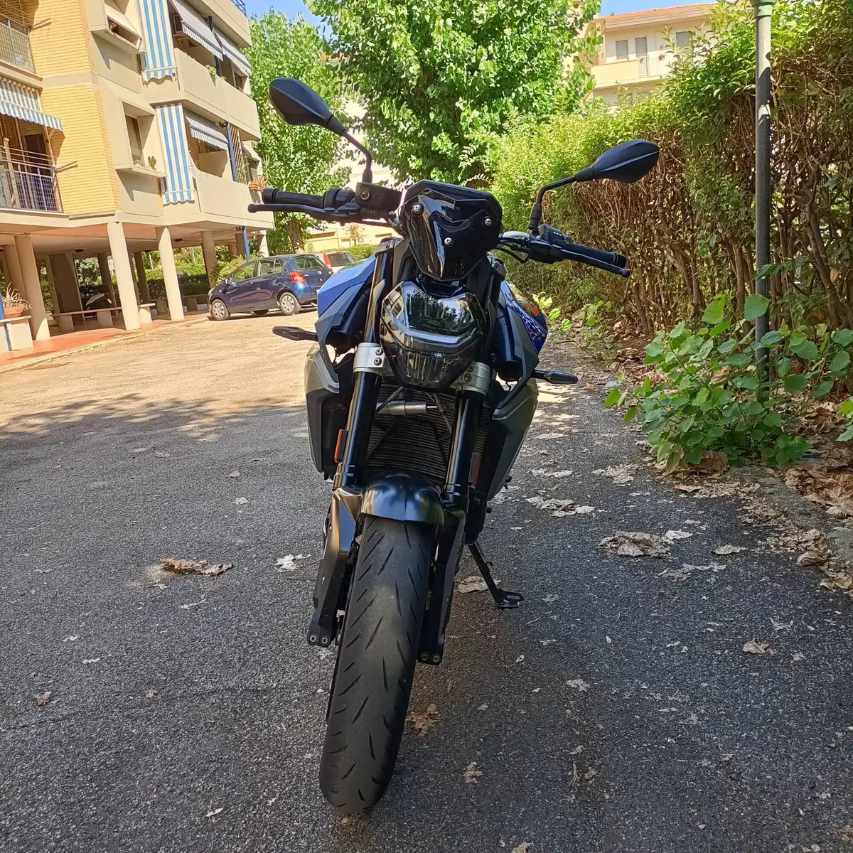 Bmw F 900 R (2017 - 20) (2)