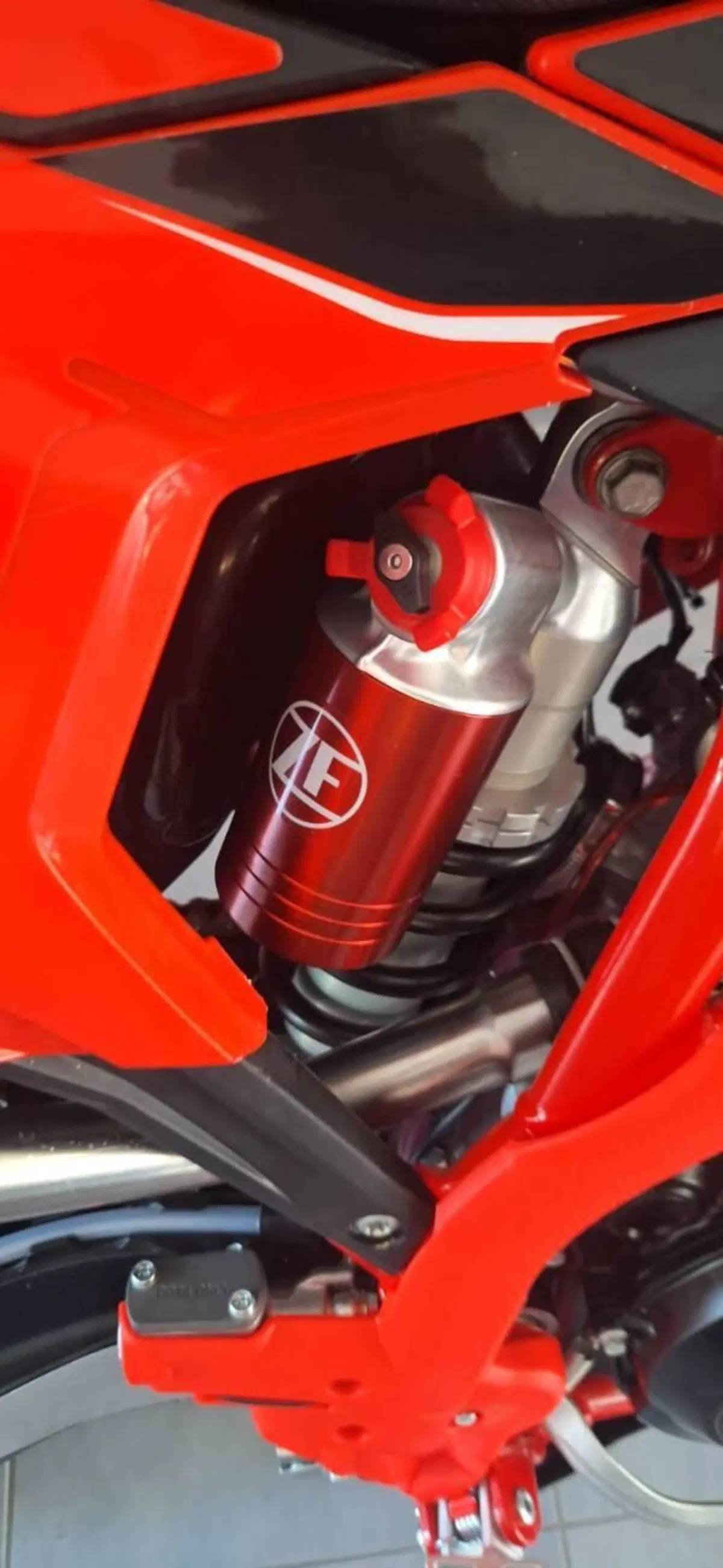 Betamotor RR X-PRO 300 2T Enduro (2027) (2)