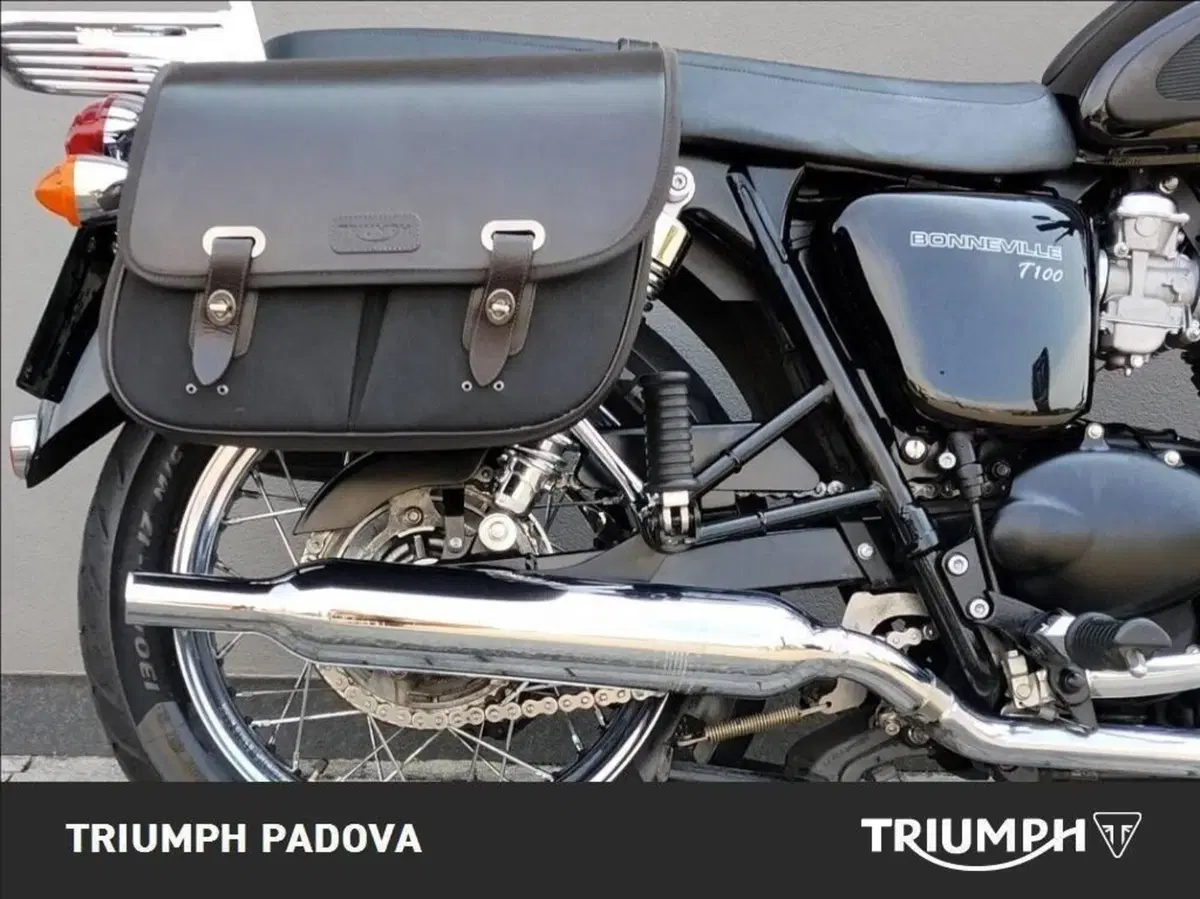 Triumph Bonneville T100 (2008 - 16) (3)