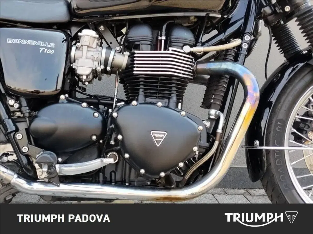 Triumph Bonneville T100 (2008 - 16) (5)