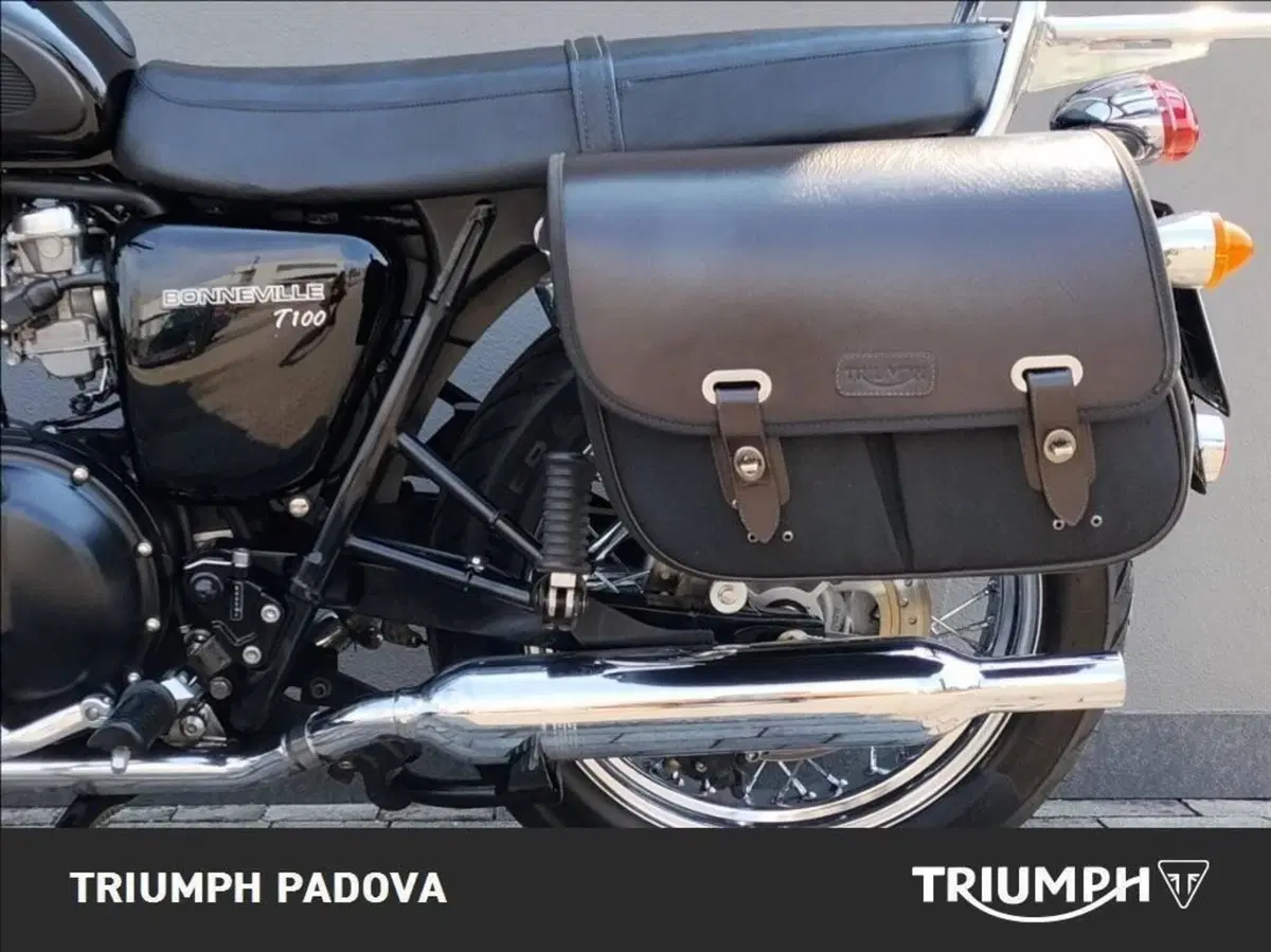 Triumph Bonneville T100 (2008 - 16) (13)
