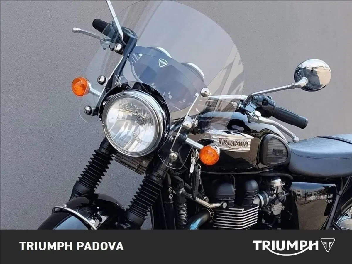 Triumph Bonneville T100 (2008 - 16) (19)