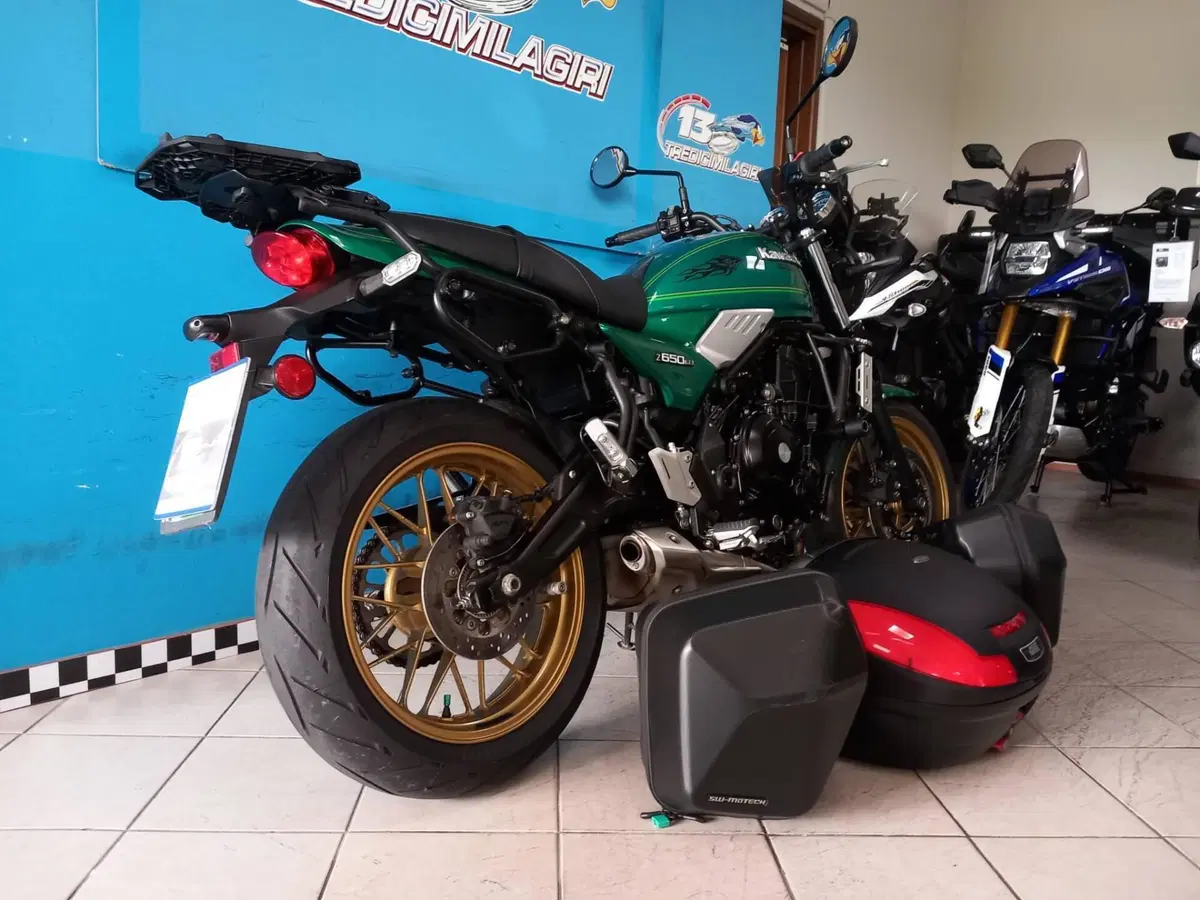 Kawasaki Z 650 RS (2022 - 24) (15)