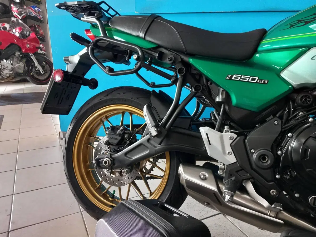 Kawasaki Z 650 RS (2022 - 24) (17)