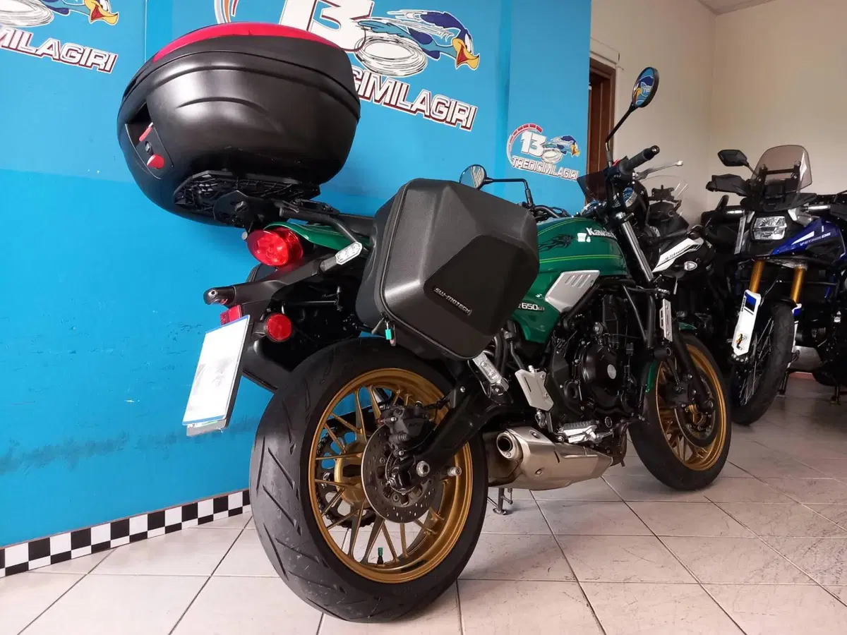 Kawasaki Z 650 RS (2022 - 24) (14)