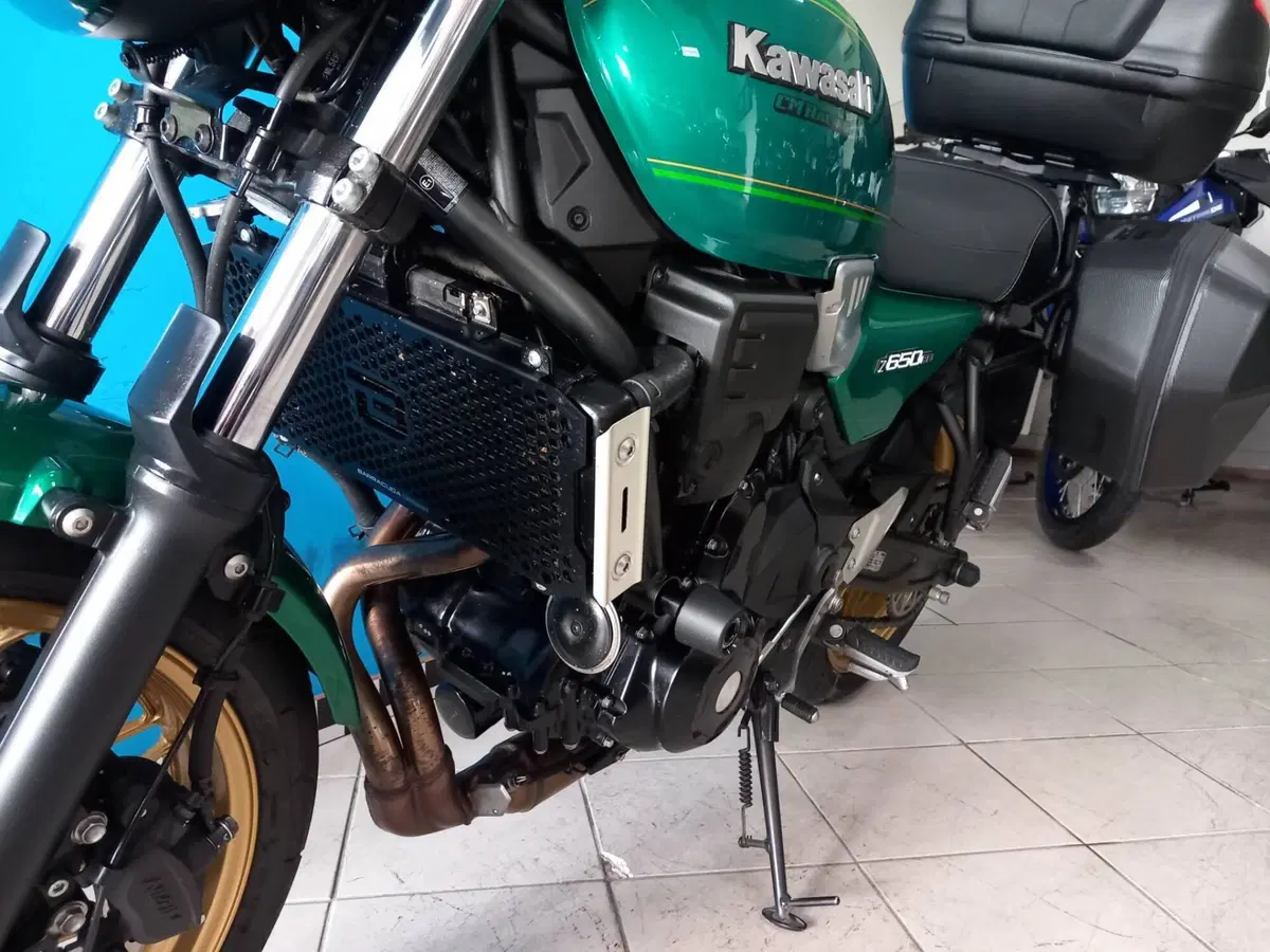 Kawasaki Z 650 RS (2022 - 24) (10)