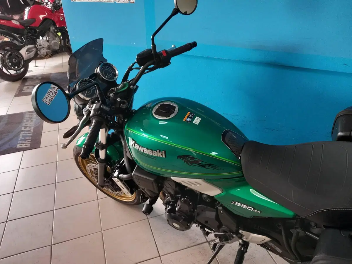 Kawasaki Z 650 RS (2022 - 24) (9)