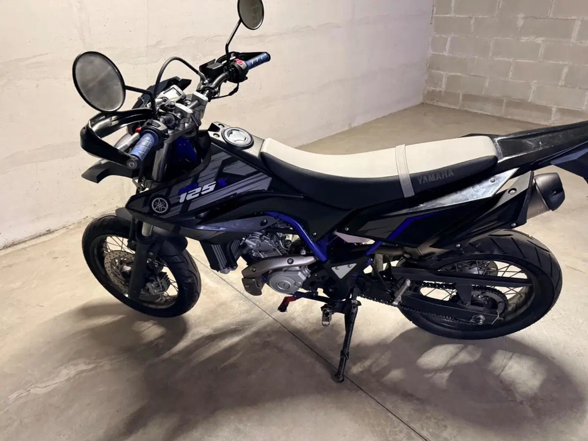 Yamaha WR 125 X (2009 - 16) (3)