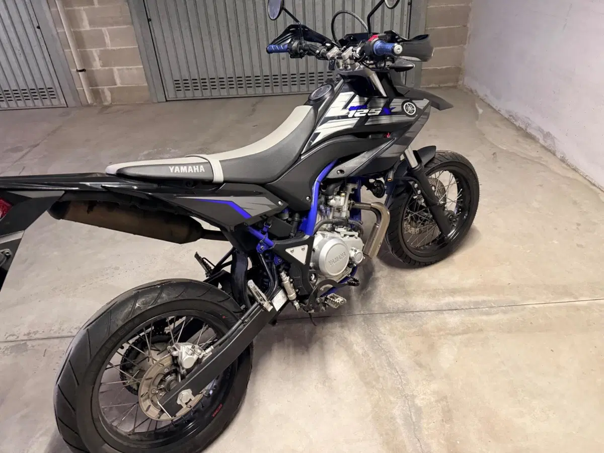 Yamaha WR 125 X (2009 - 16) (6)