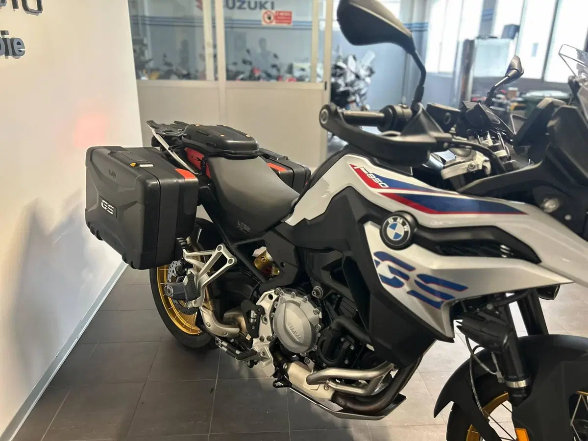 Bmw F 850 GS (2018 - 20) (14)