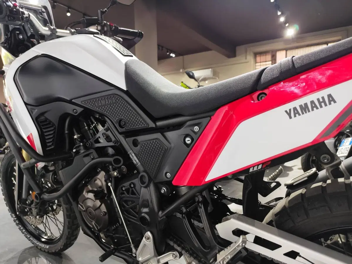 Yamaha Ténéré 700 (2019 - 20) (6)