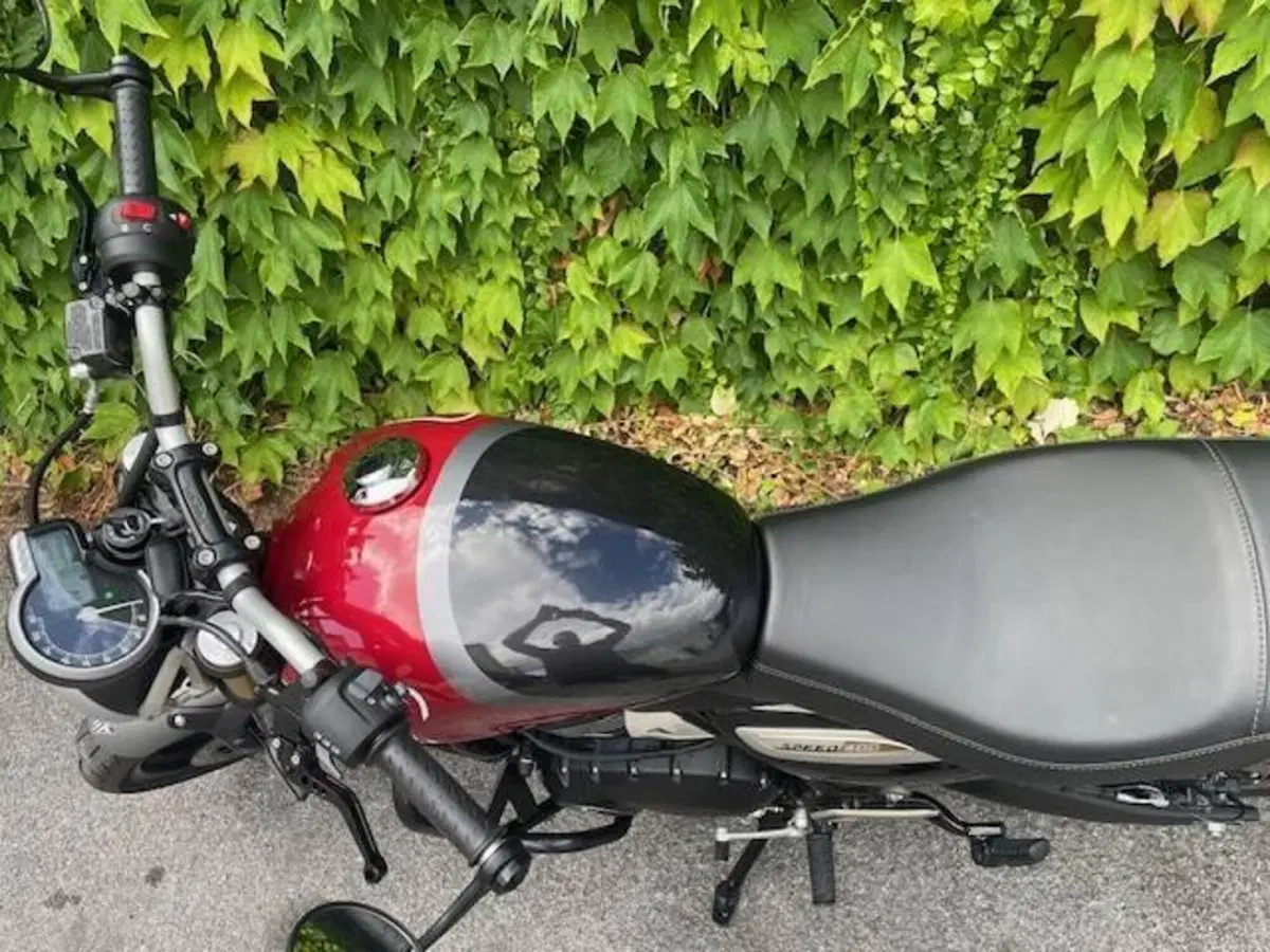 Triumph Speed 400 (2024 - 26) (2)