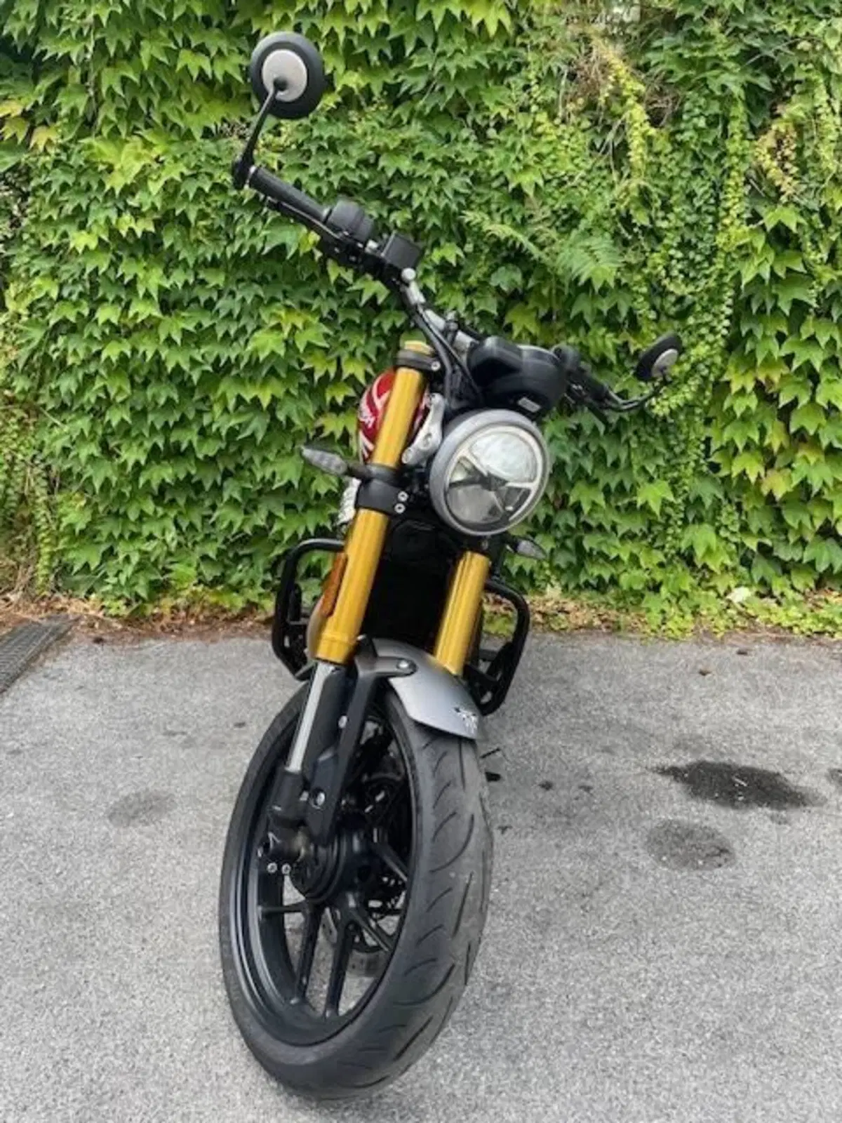 Triumph Speed 400 (2024 - 26) (4)