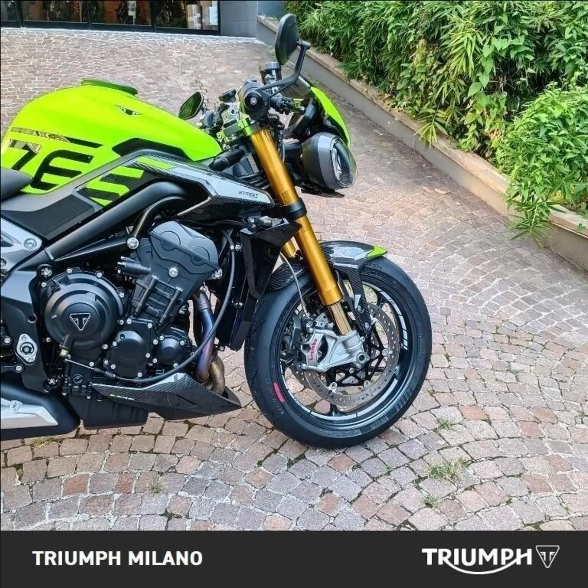 Triumph Street Triple 765 Moto2 Edition (2023 - 24) (3)