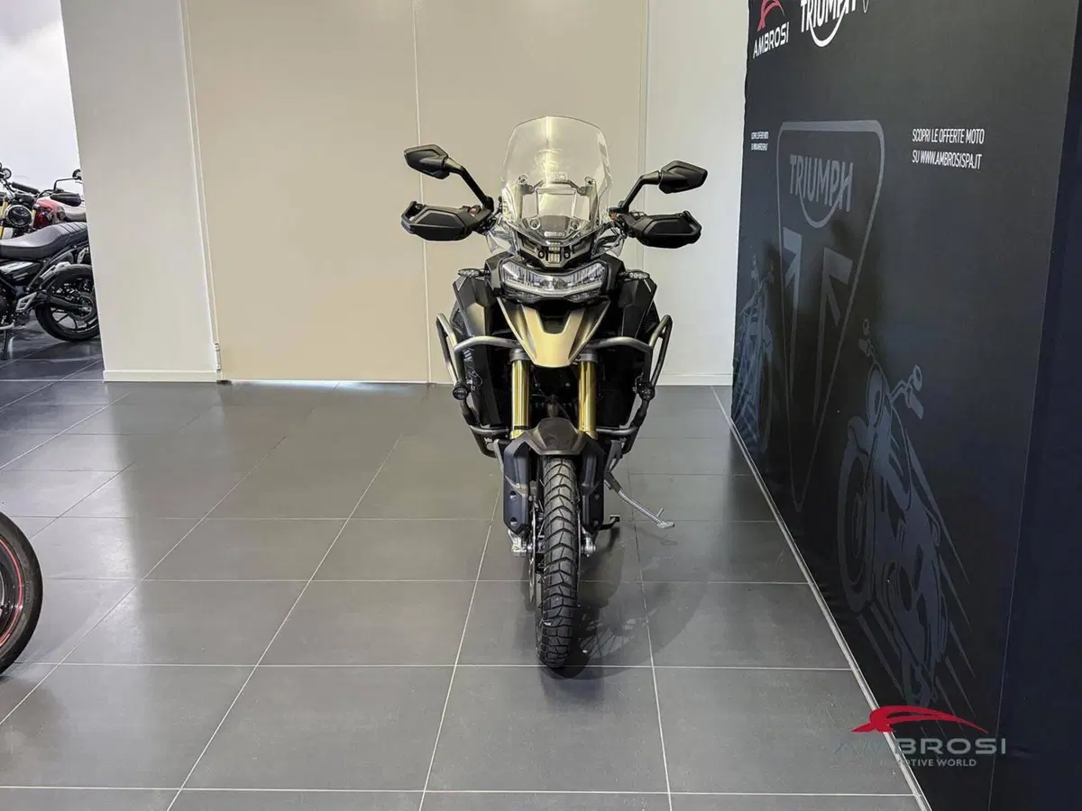 Triumph Tiger 1200 Rally Explorer (2024 - 26) (2)