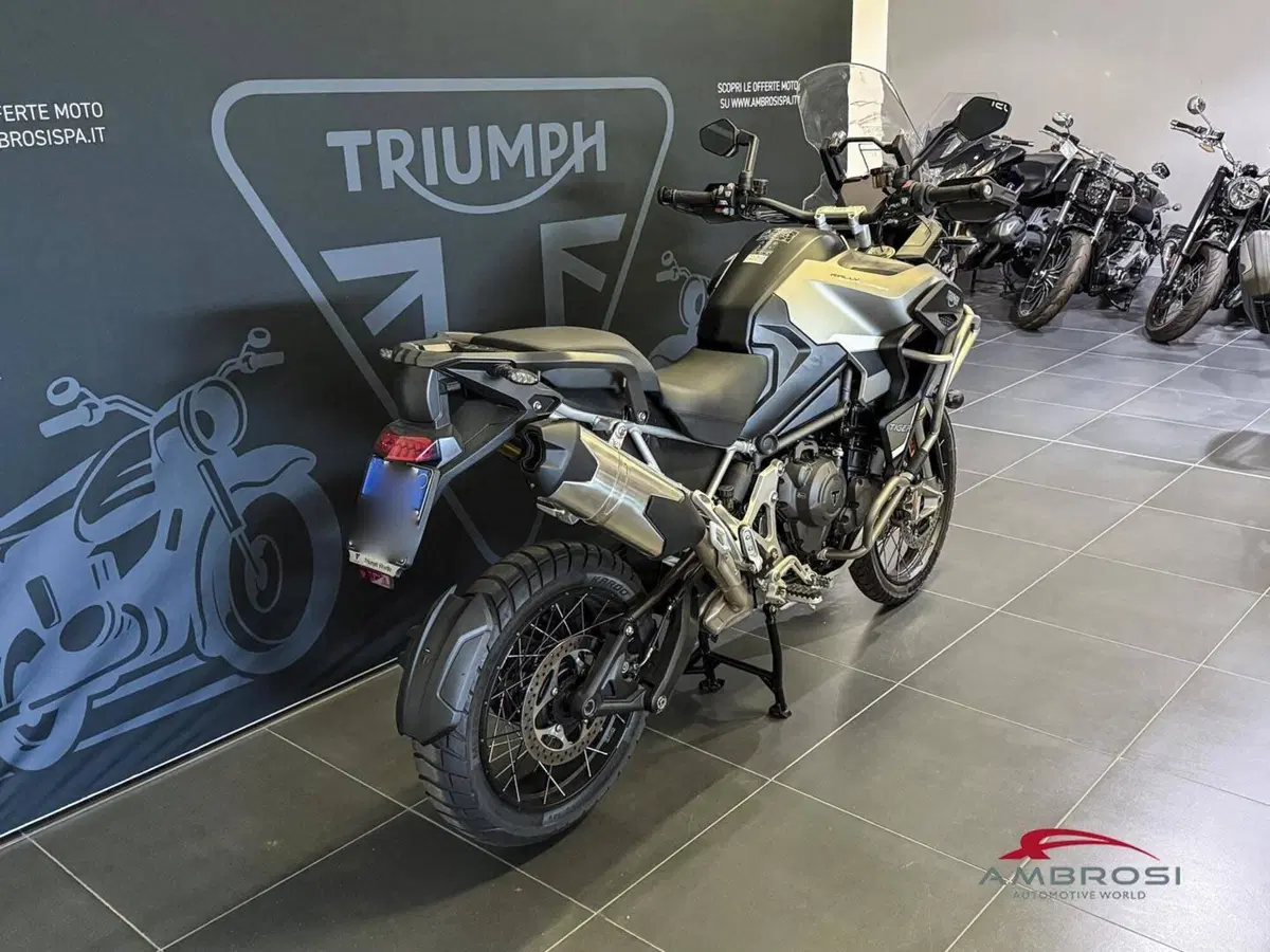 Triumph Tiger 1200 Rally Explorer (2024 - 26) (3)