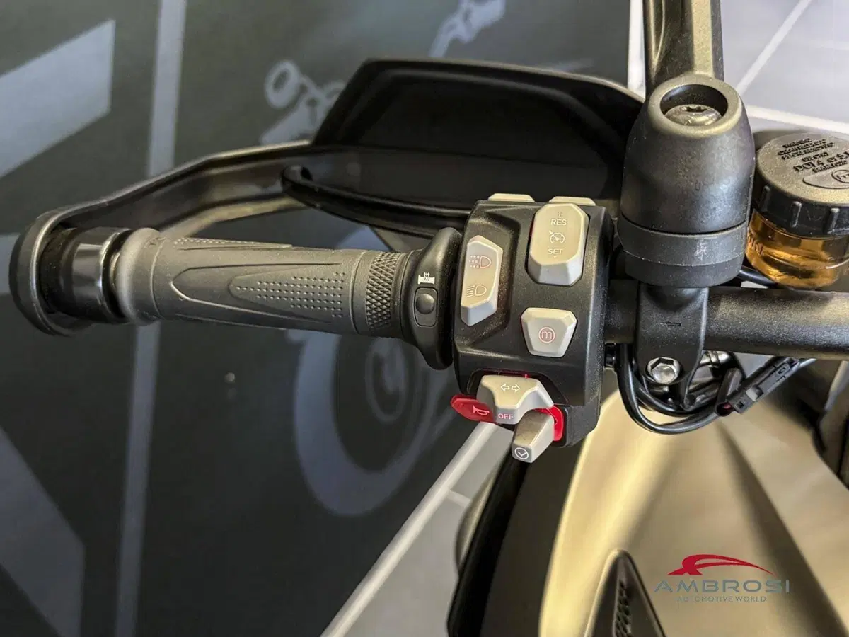 Triumph Tiger 1200 Rally Explorer (2024 - 26) (4)
