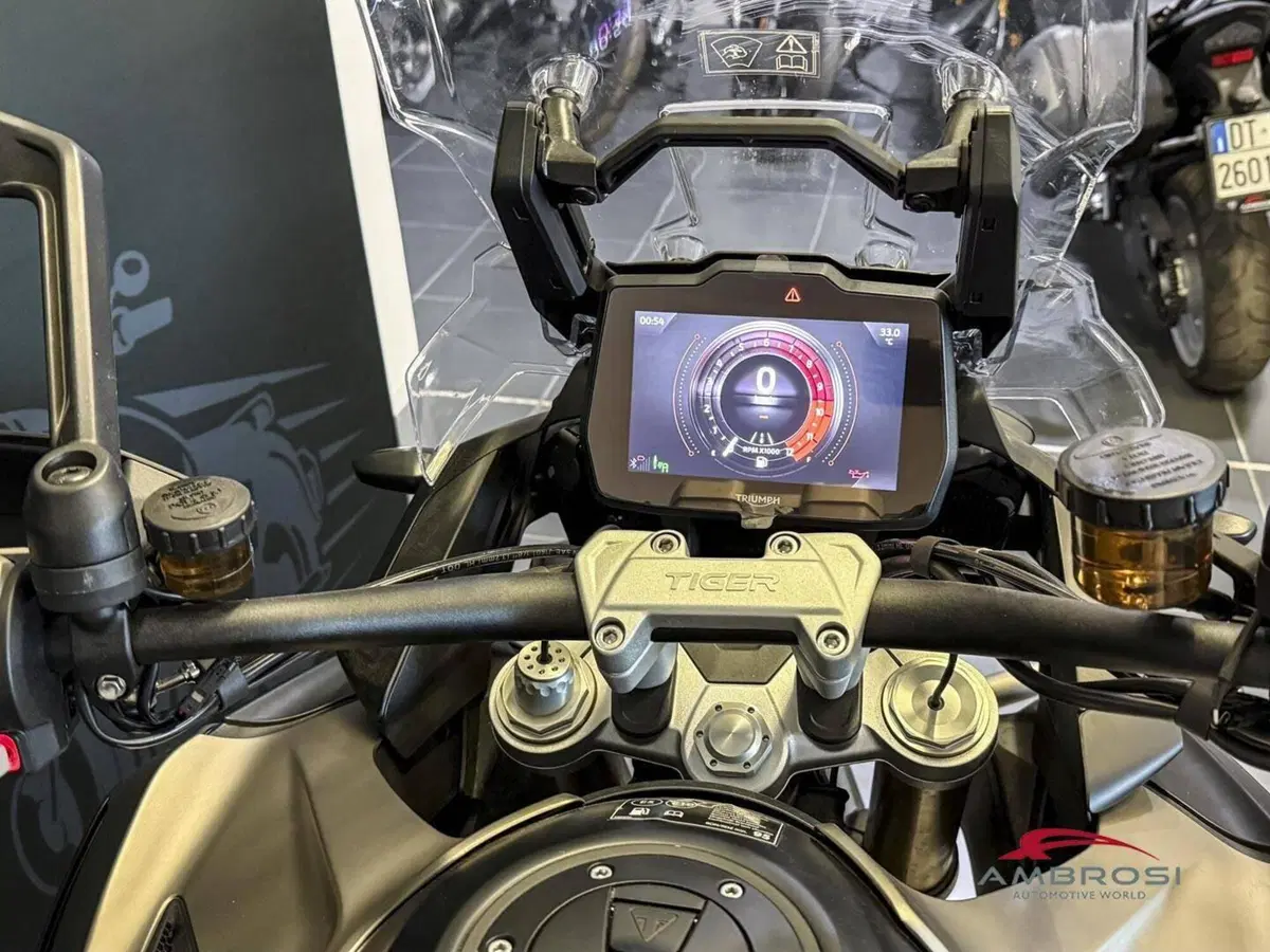 Triumph Tiger 1200 Rally Explorer (2024 - 26) (5)