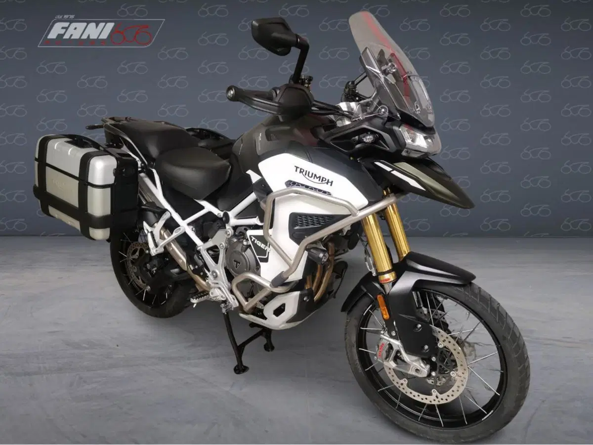 Triumph Tiger 1200 Rally Explorer (2022 - 23) (2)