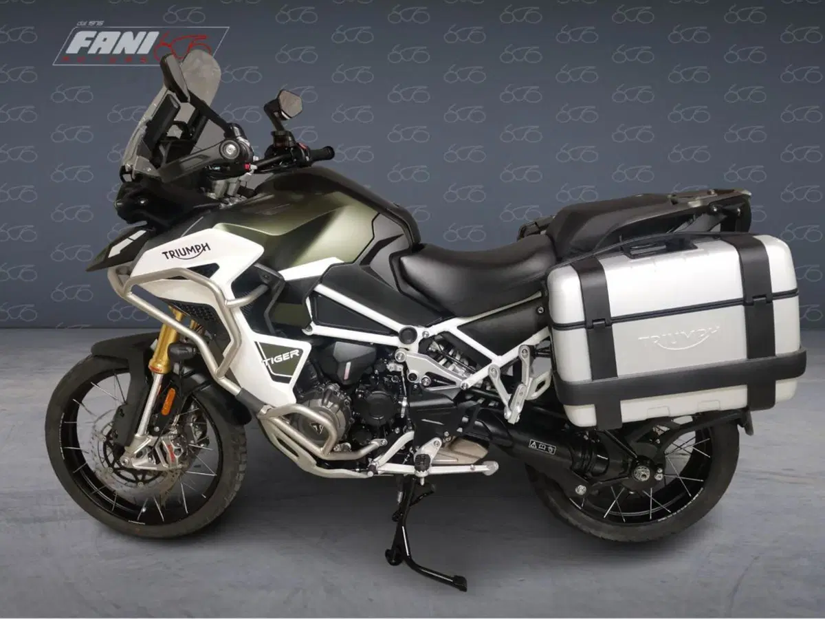 Triumph Tiger 1200 Rally Explorer (2022 - 23) (3)