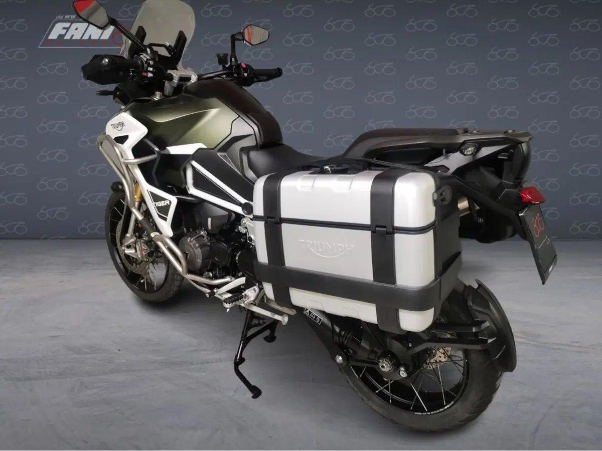Triumph Tiger 1200 Rally Explorer (2022 - 23) (4)