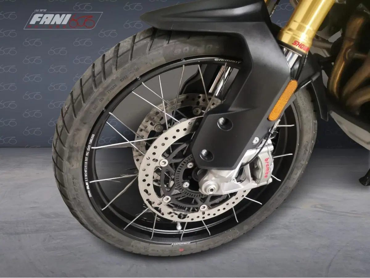 Triumph Tiger 1200 Rally Explorer (2022 - 23) (6)