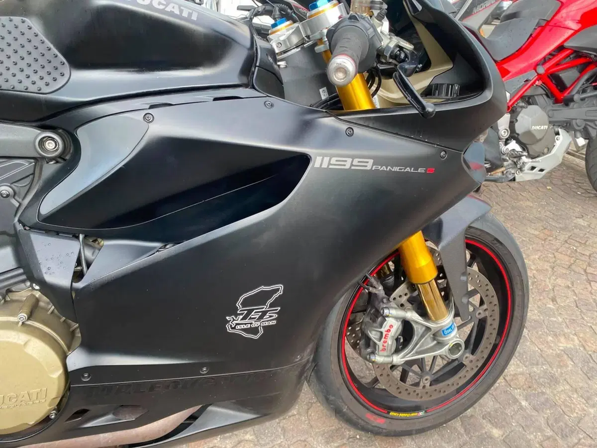 Ducati 1199 Panigale S (2013 - 14) (5)