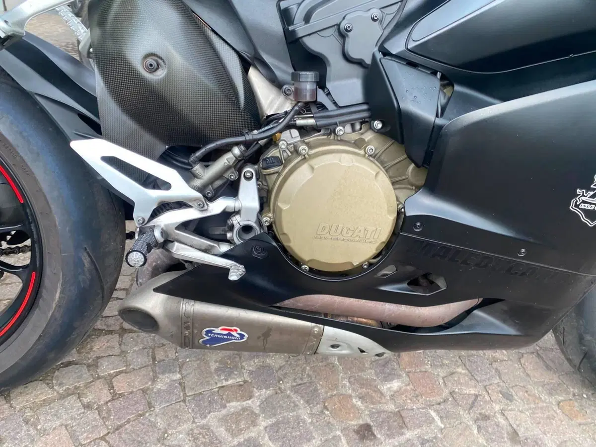 Ducati 1199 Panigale S (2013 - 14) (8)