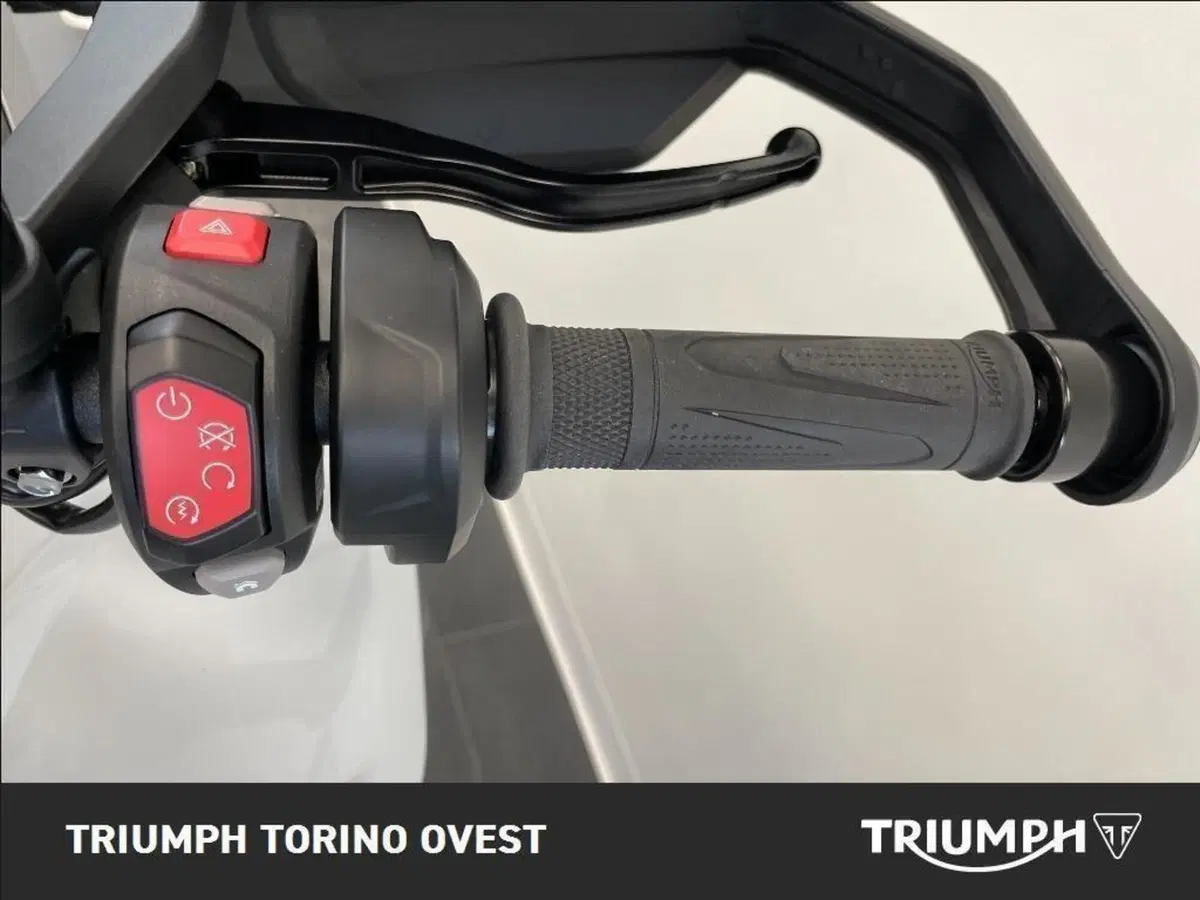 Triumph Tiger 1200 GT Pro (2022 - 23) (8)