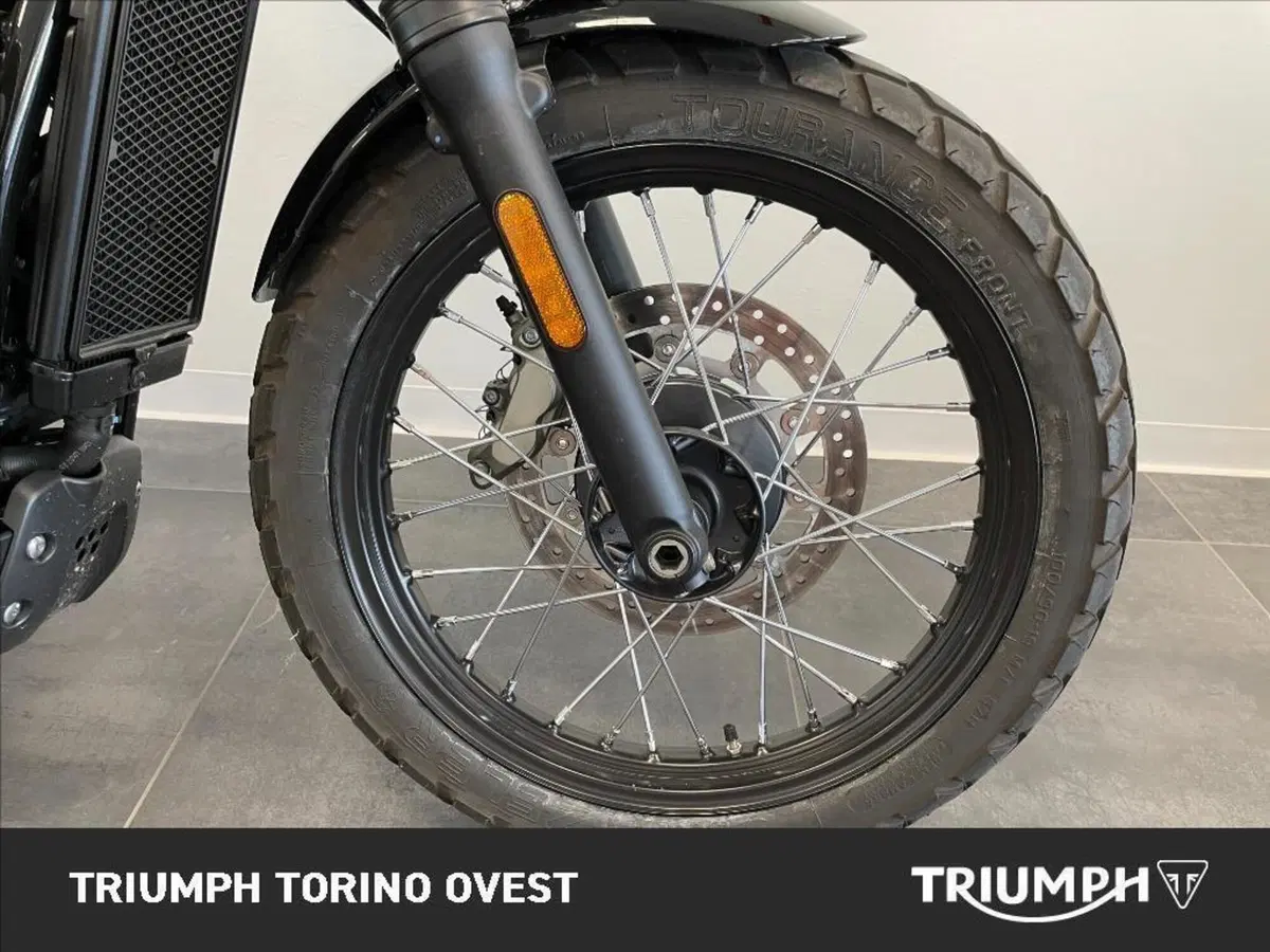 Triumph Scrambler 900 (2023 - 25) (6)