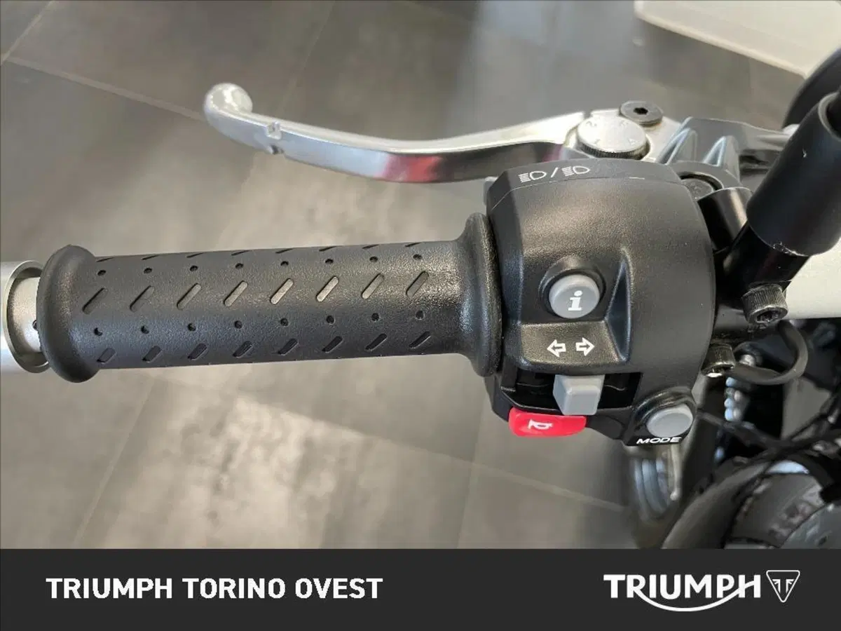 Triumph Scrambler 900 (2023 - 25) (9)
