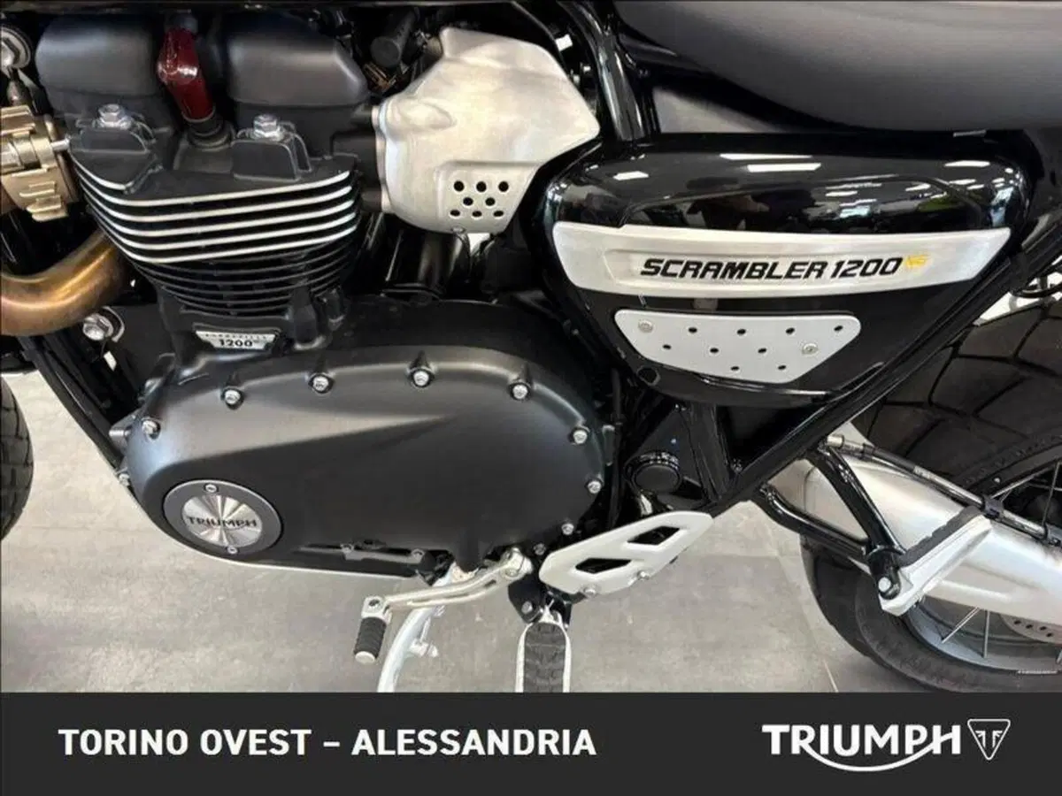 Triumph Scrambler 1200 XE (2024 - 25) (6)
