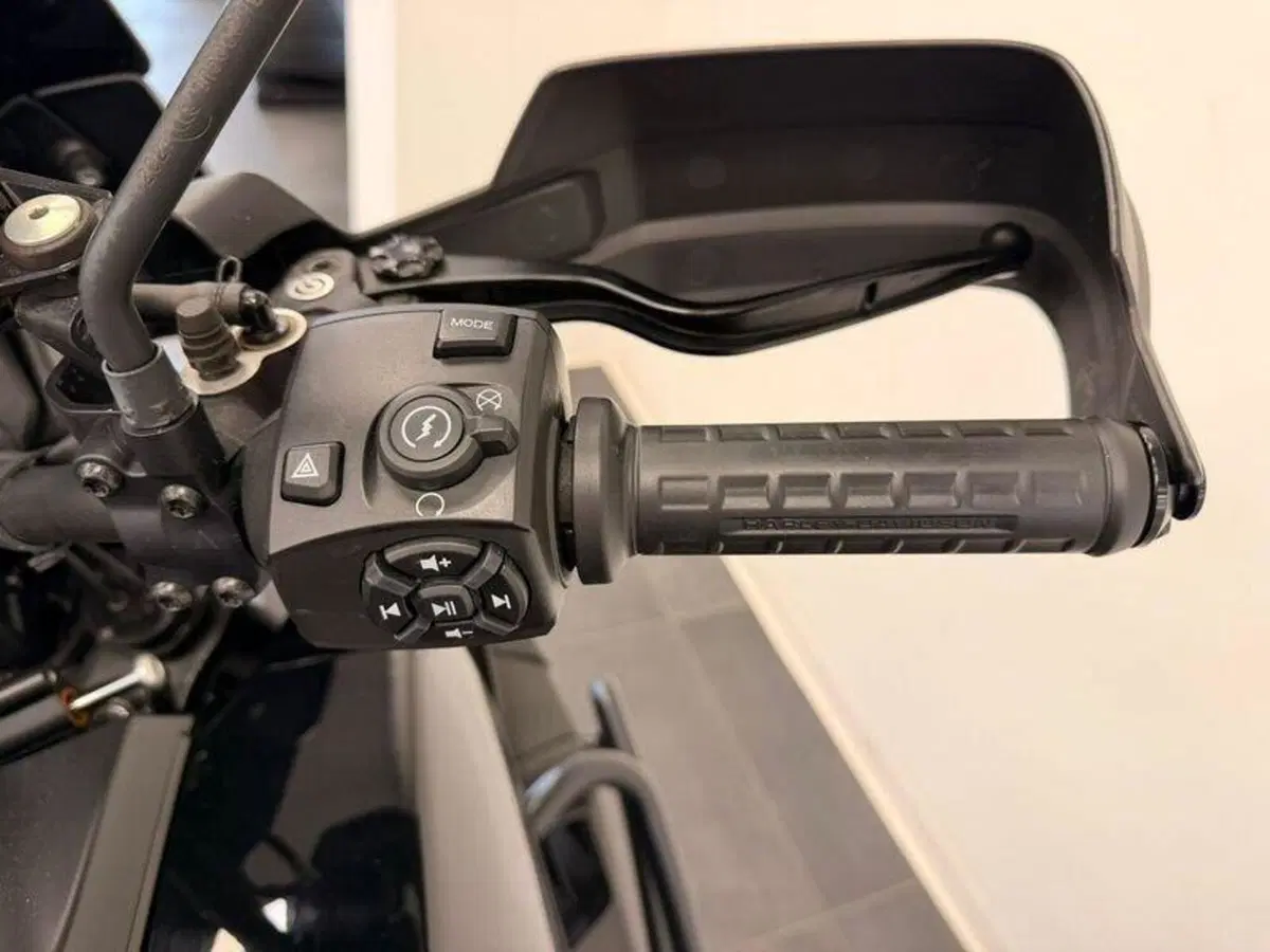 Harley-Davidson Pan America 1250 Special (2020 - 25) (7)
