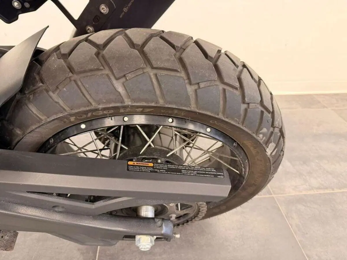 Harley-Davidson Pan America 1250 Special (2020 - 25) (12)