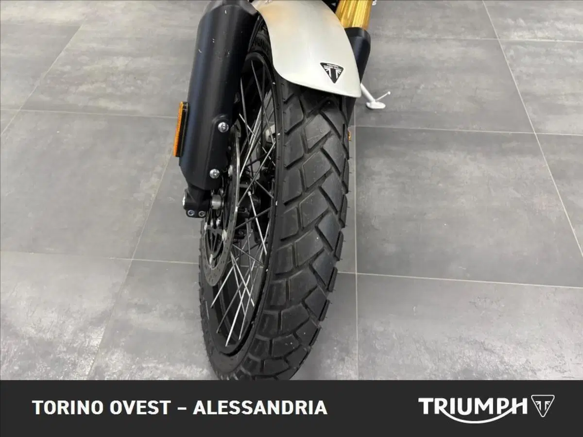 Triumph Scrambler 1200 XE (2024 - 25) (8)