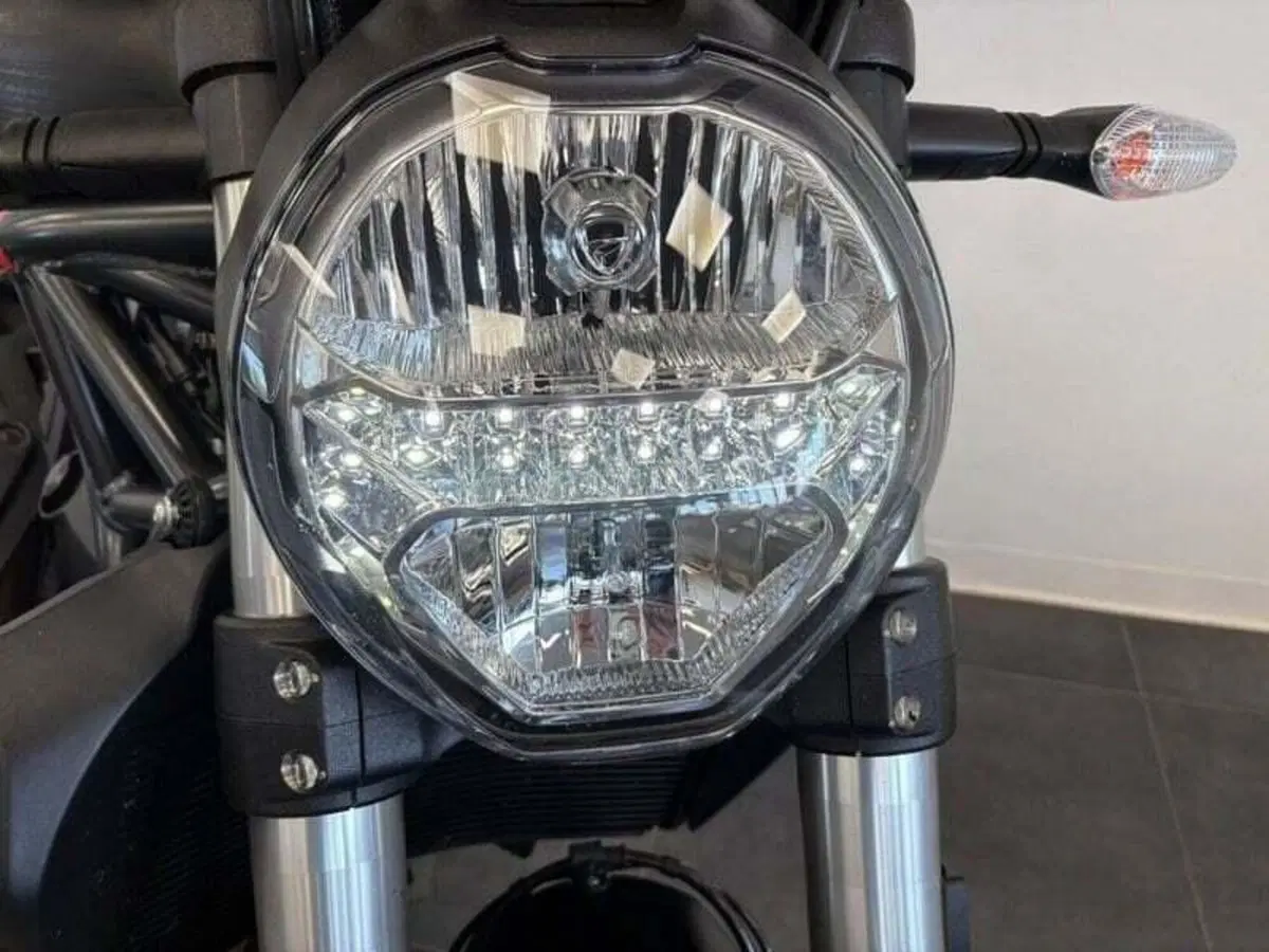Ducati Monster 821 Stealth (2019 - 20) (2)