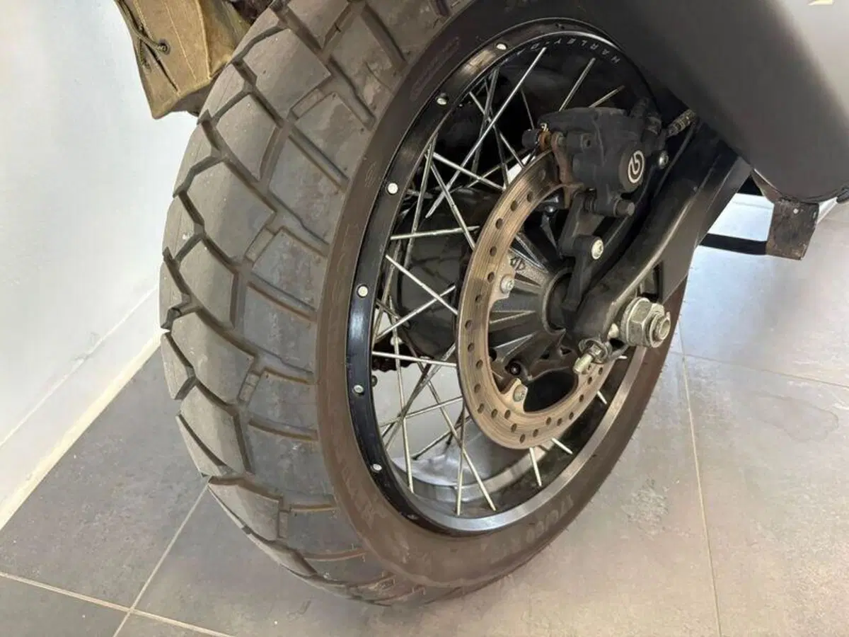 Harley-Davidson Pan America 1250 Special (2020 - 25) (11)