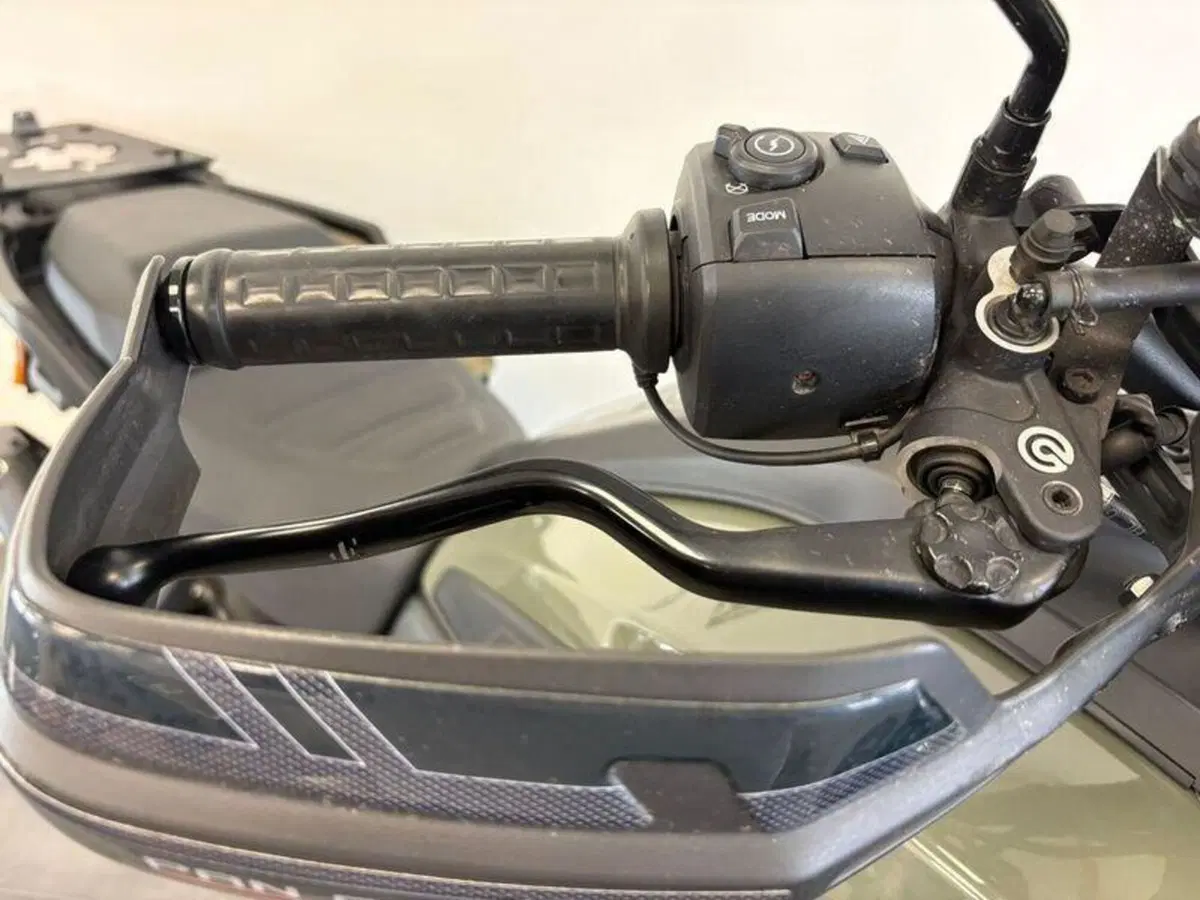 Harley-Davidson Pan America 1250 Special (2020 - 25) (16)
