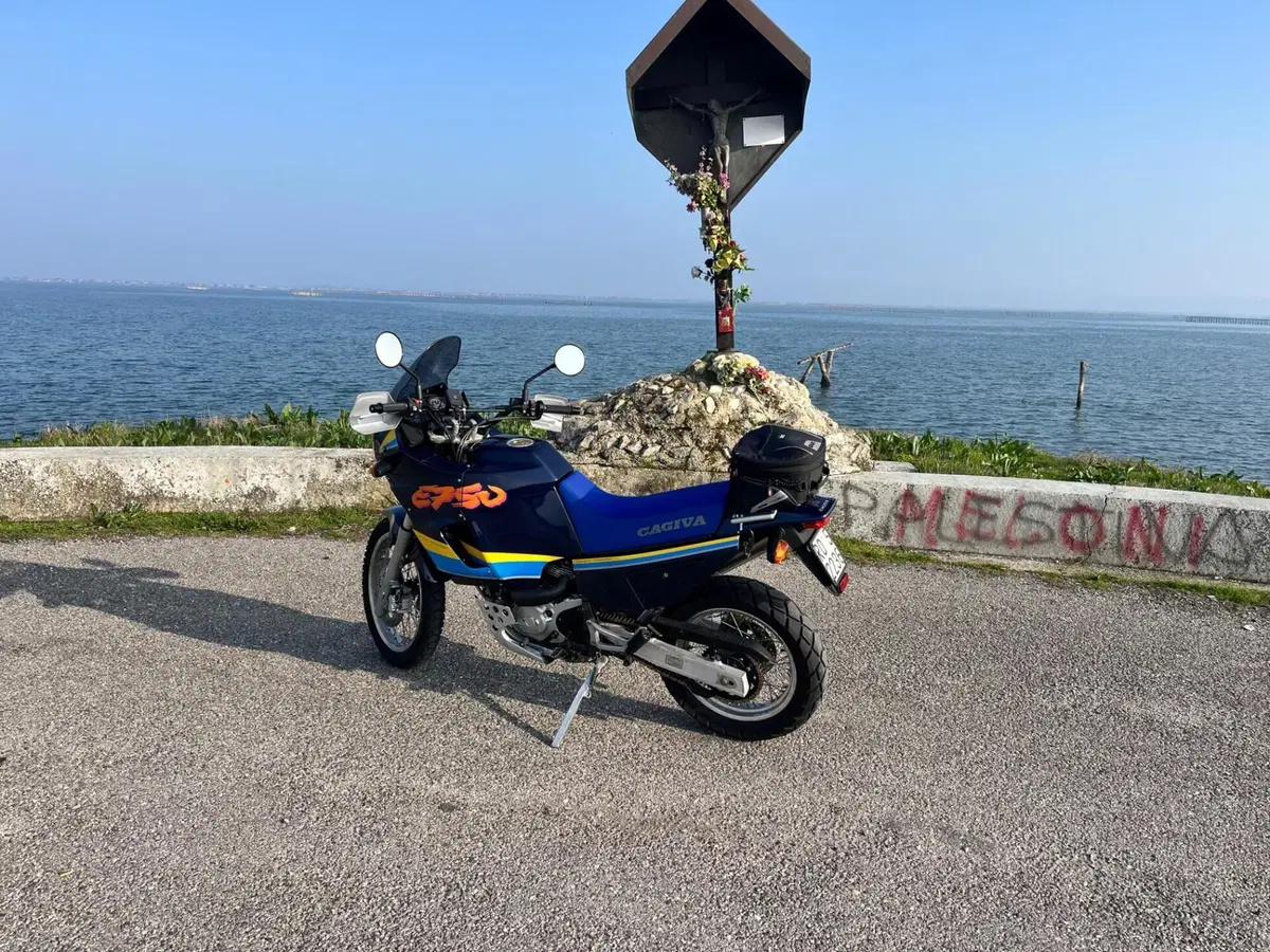 Cagiva Elefant 750 Cat (1994 - 97) (5)