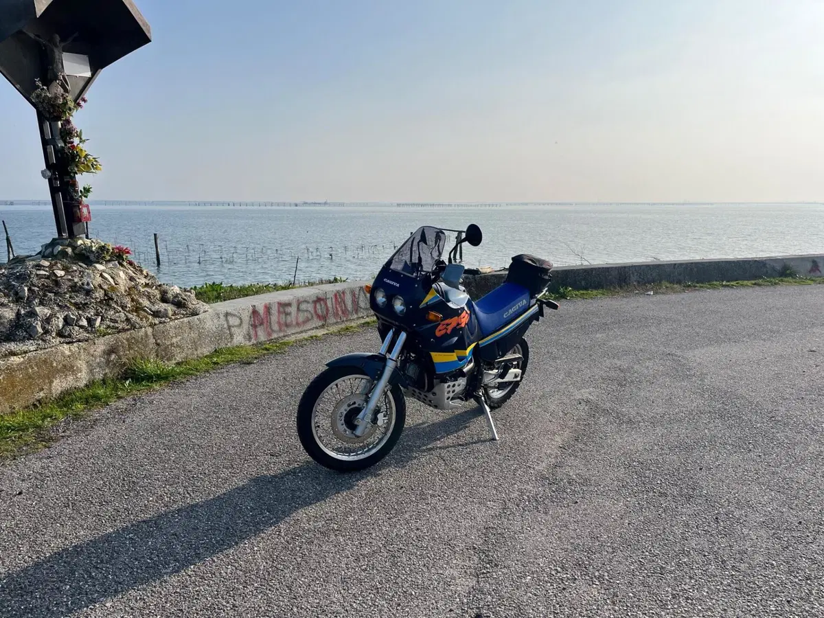 Cagiva Elefant 750 Cat (1994 - 97) (6)