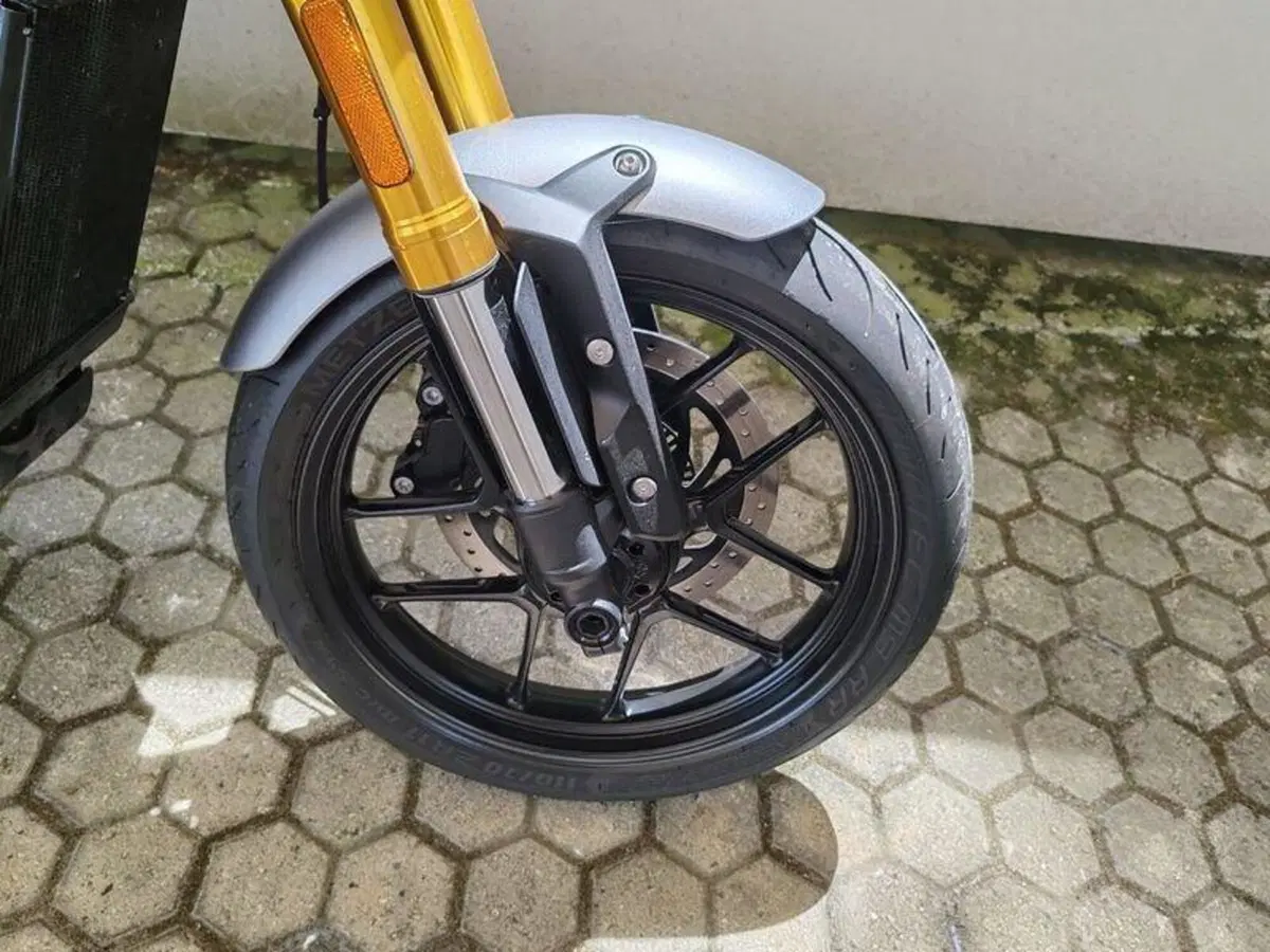 Triumph Speed 400 (2024 - 26) (9)