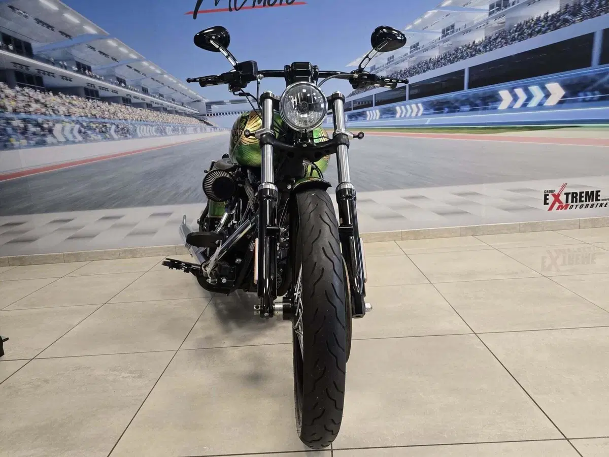 Harley-Davidson 1584 Blackline (2011 - 13) - FXS (3)