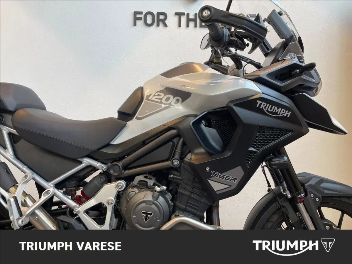 Triumph Tiger 1200 GT Pro (2022 - 23) (3)