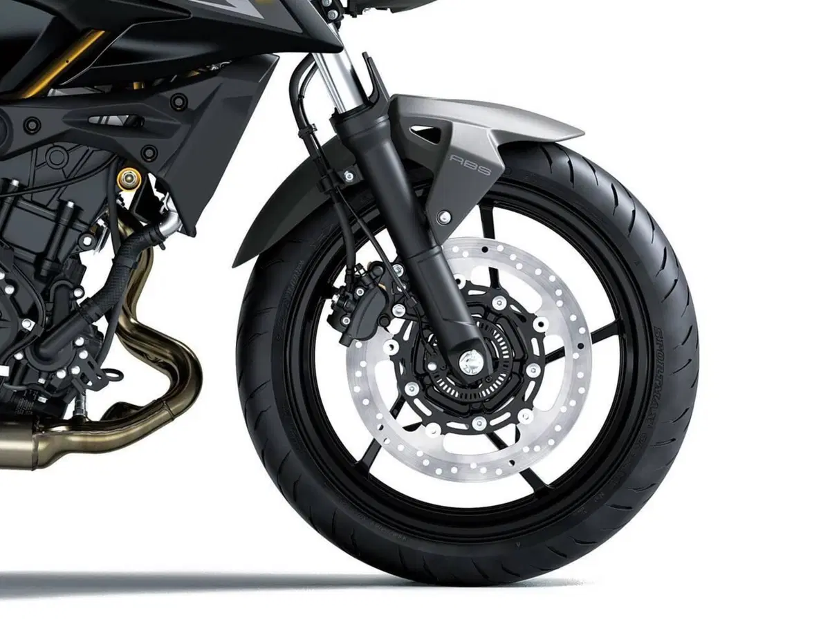 Kawasaki Z 500 (2024 - 26) (3)