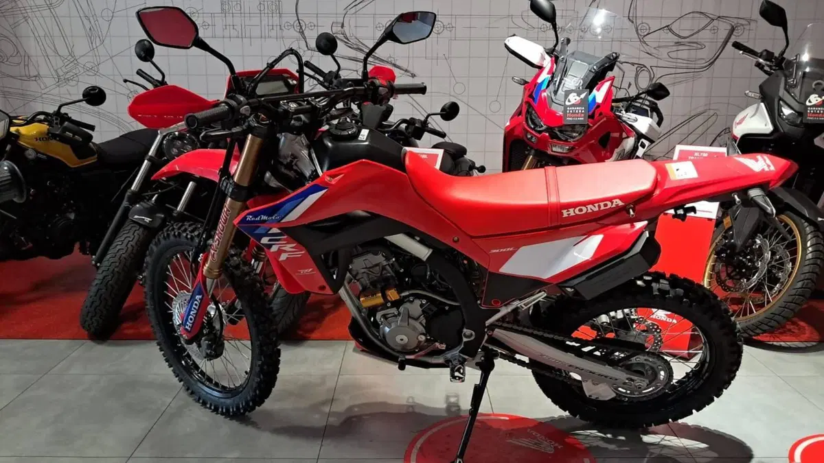 Honda CRF 300L Red Edition (2026) (5)