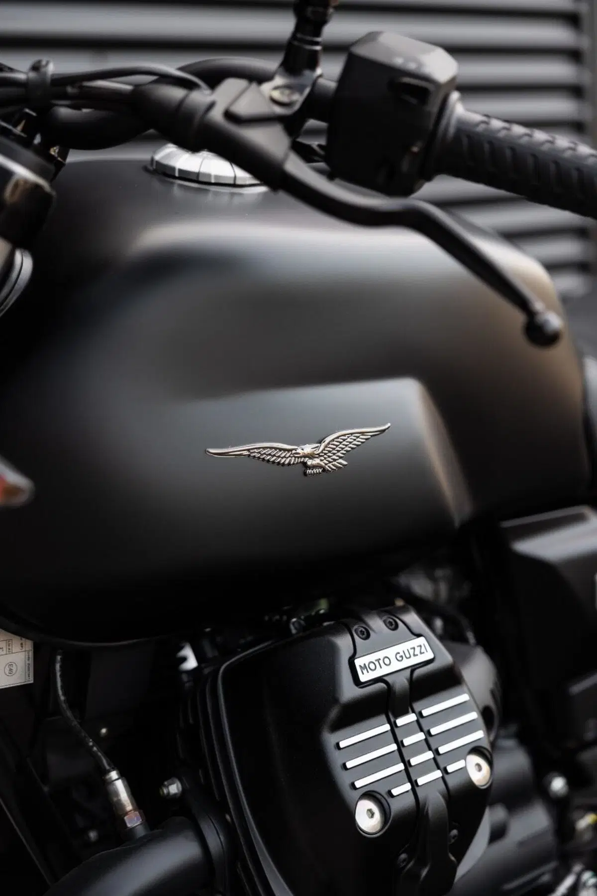 Moto Guzzi V7 Stone (2025 - 26) (5)